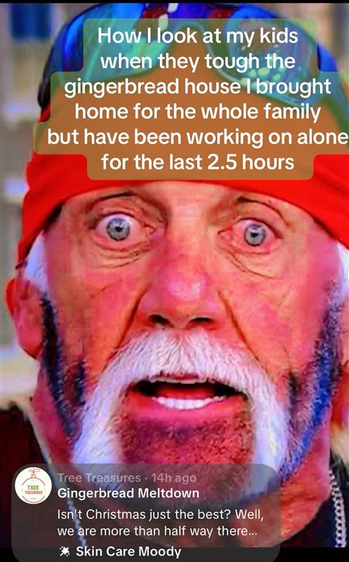 Funny Christmas Memes for Adults: A Holiday Survival Guide in Meme Form